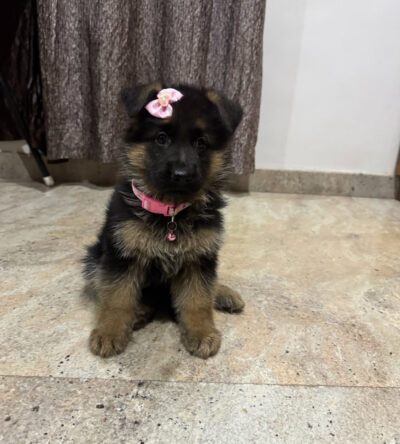 Rooku (female)